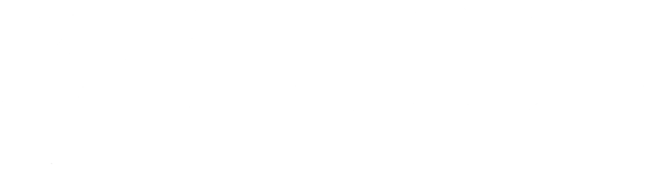 Bonnen Battery