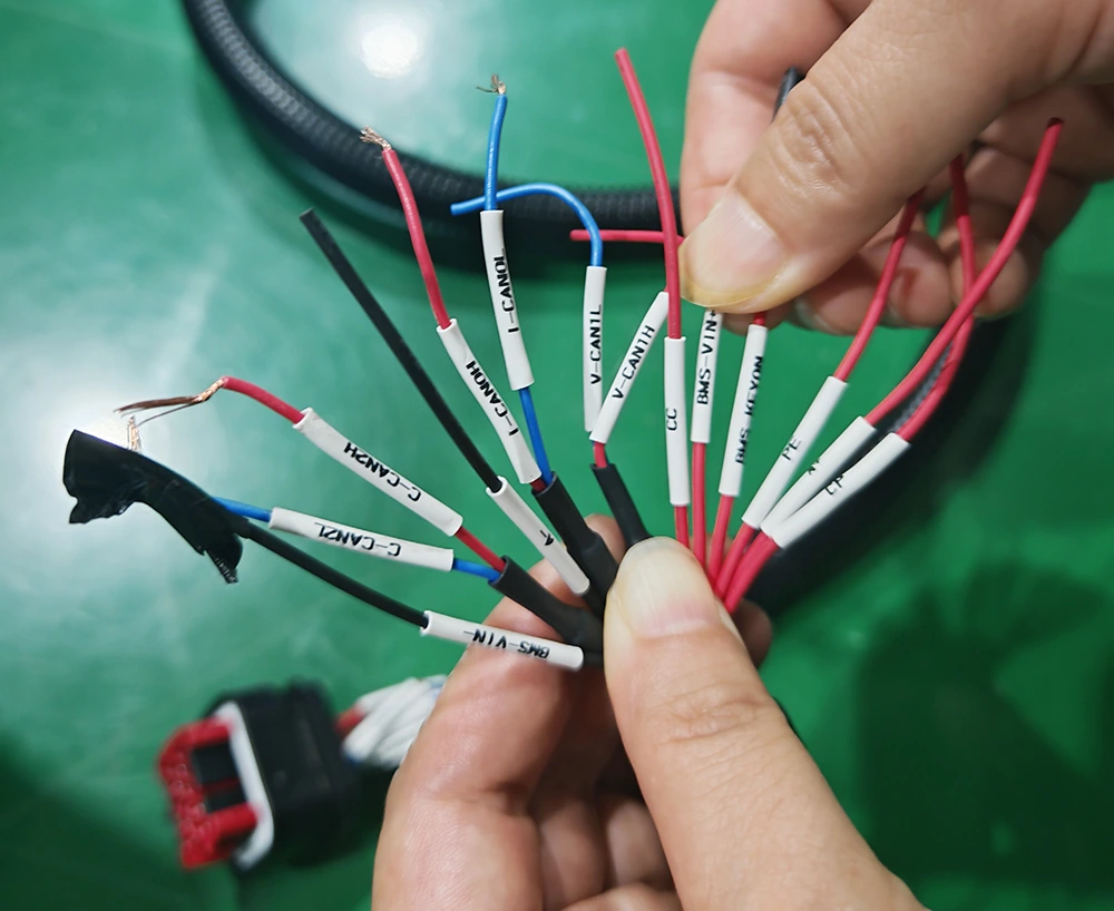 BMS CAN Bus Wiring